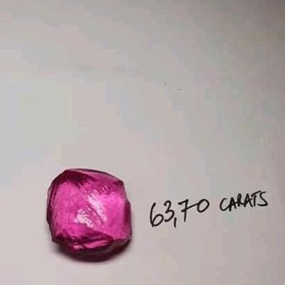 20220416 004400 346532de 72bc 435b 88f1 275603786921