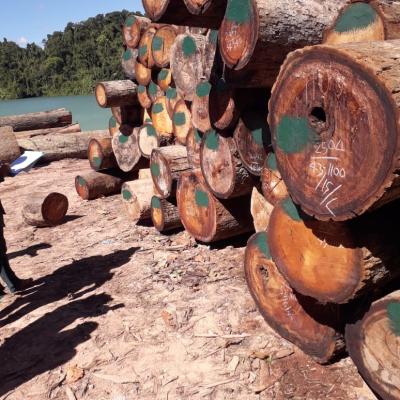 Img 20231222 Wa00261